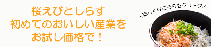 お試しセットへ
